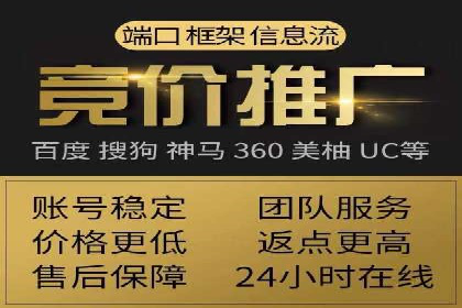 SEM服务案例：助力企业拓展海外市场